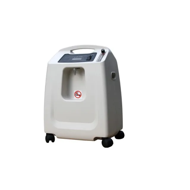 Nareena 10 LPM Dual Flow Oxygen Concentrator