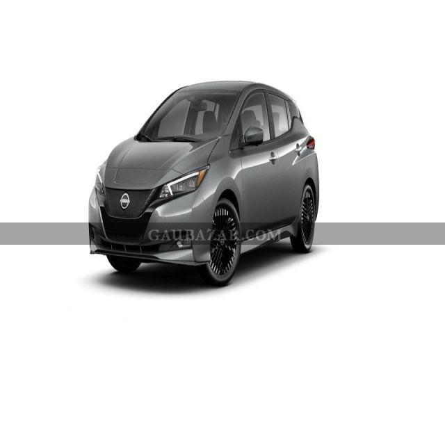 Nissan Leaf Gun Metallic Ev