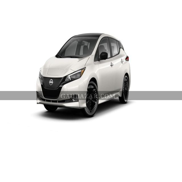 Nissan Leaf Two-Tone Pearl White/Black Ev