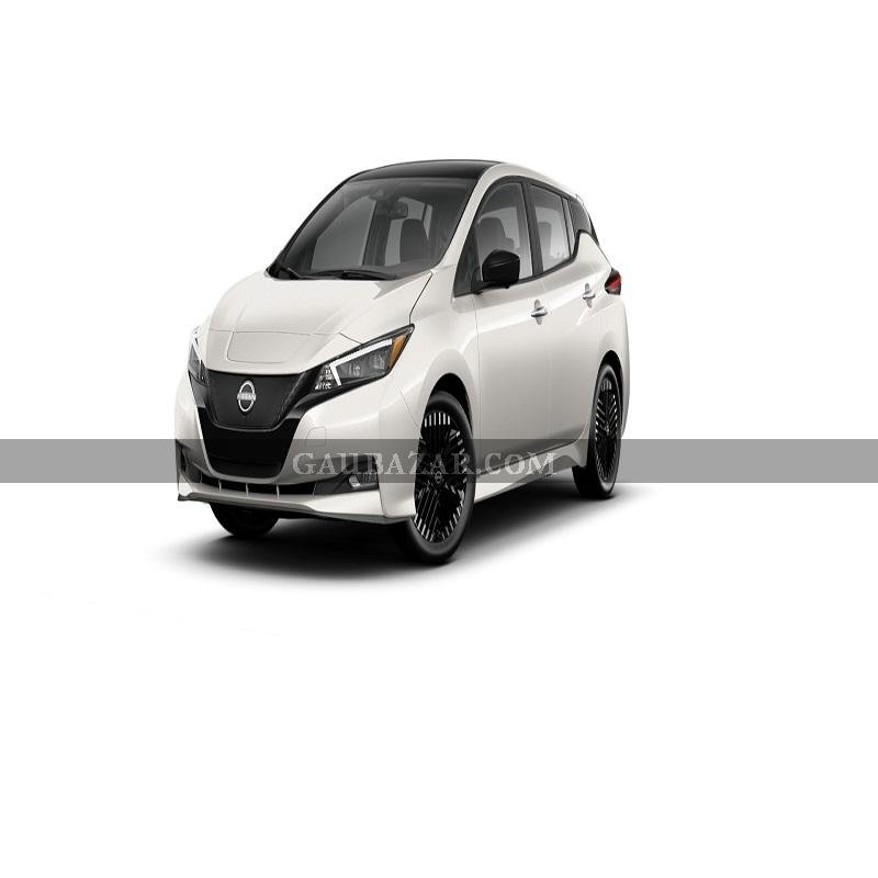 Nissan Leaf Two-Tone Pearl White/Black Ev